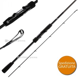 Canna Favorite X1.1