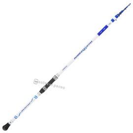 Canna Tubertini Boater